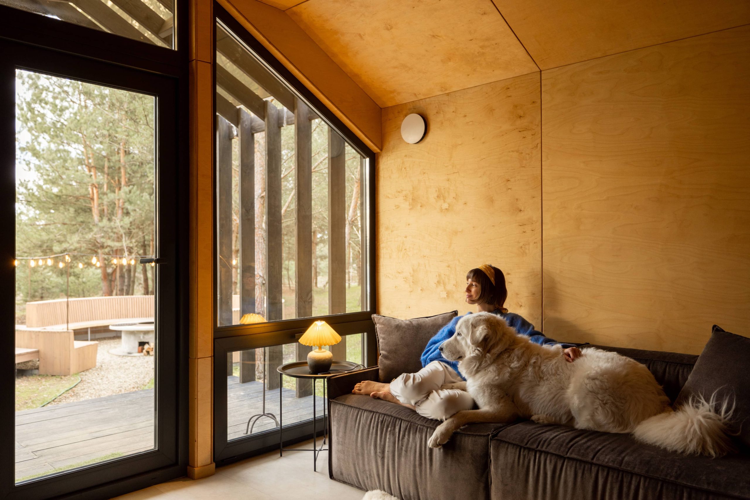 Affordable Pet Décor Ideas for Every Home