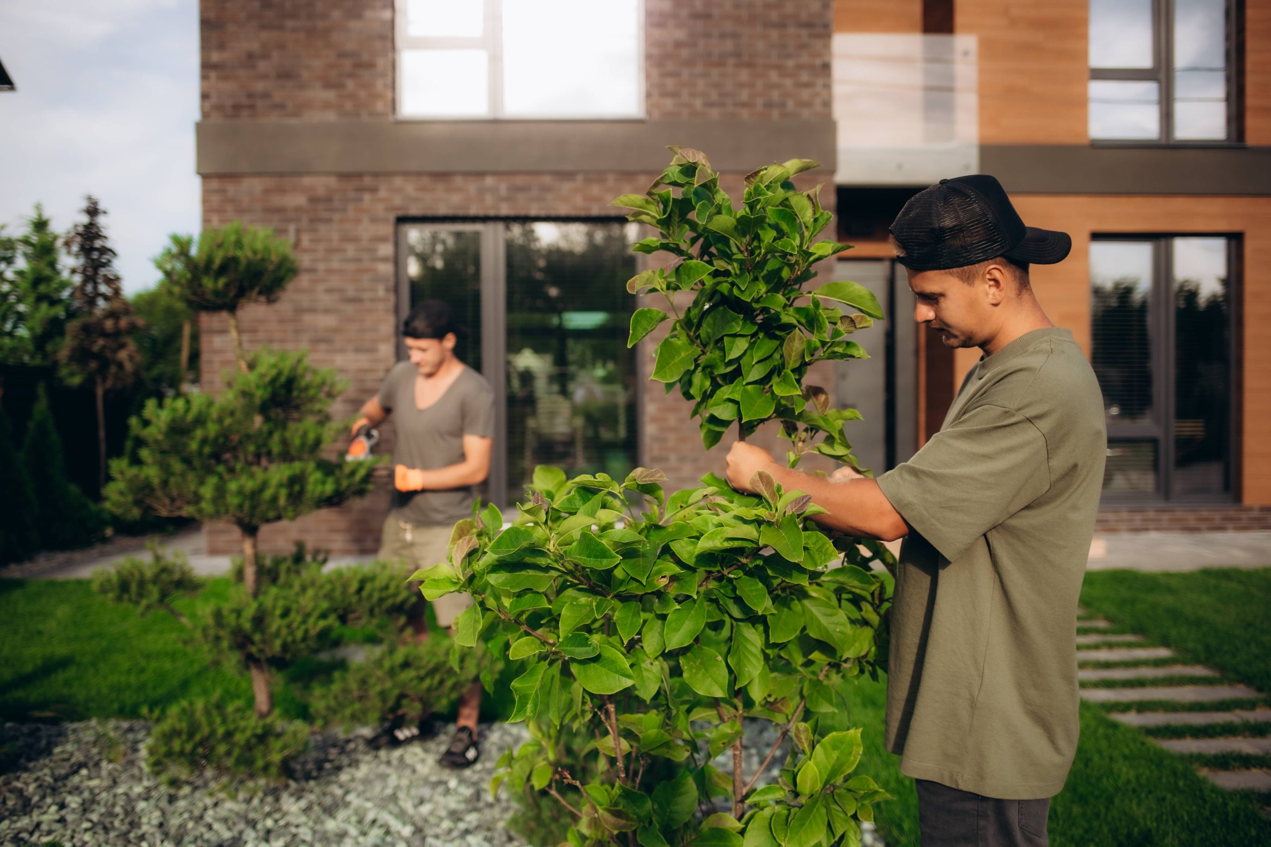 How to Grow a Vegetable Garden in Limited Spaces
