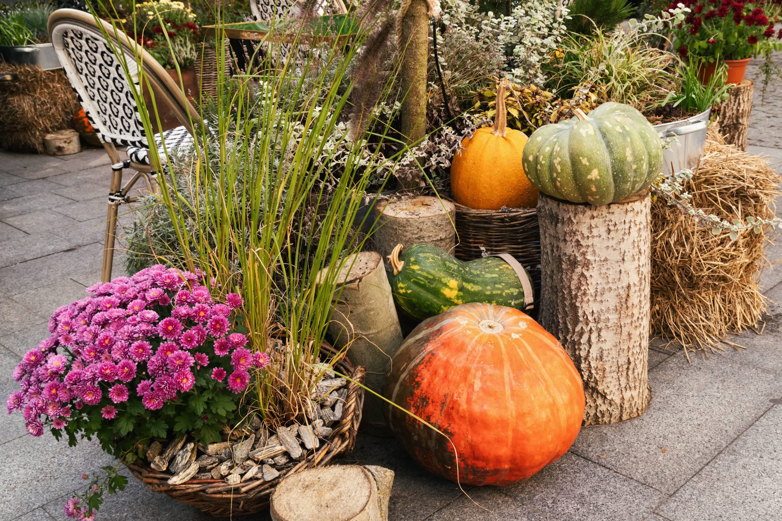 Preserving Herbs and Produce from Your Summer Garden