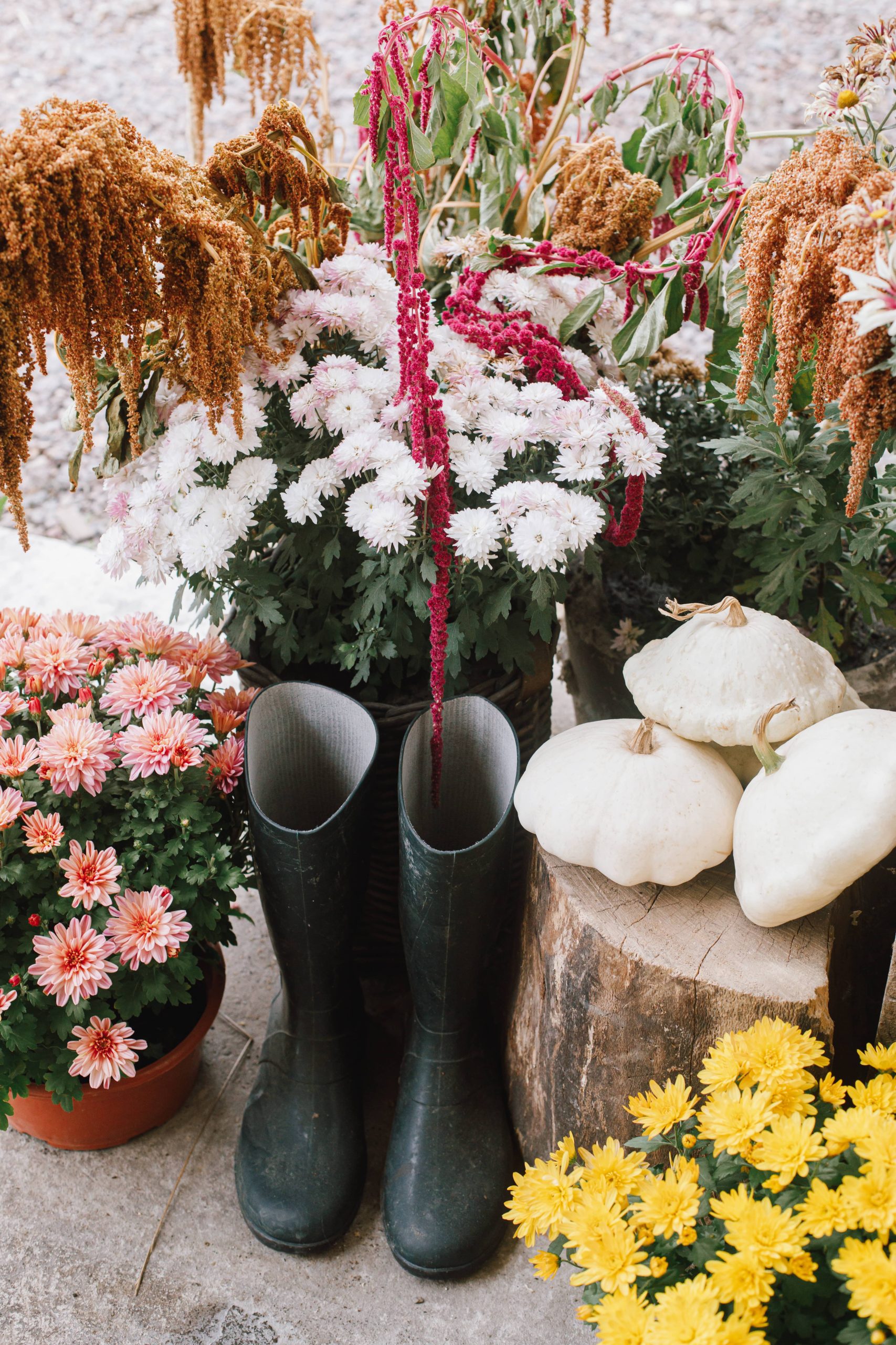 Selecting the Appropriate Mulch for Spring Landscaping
