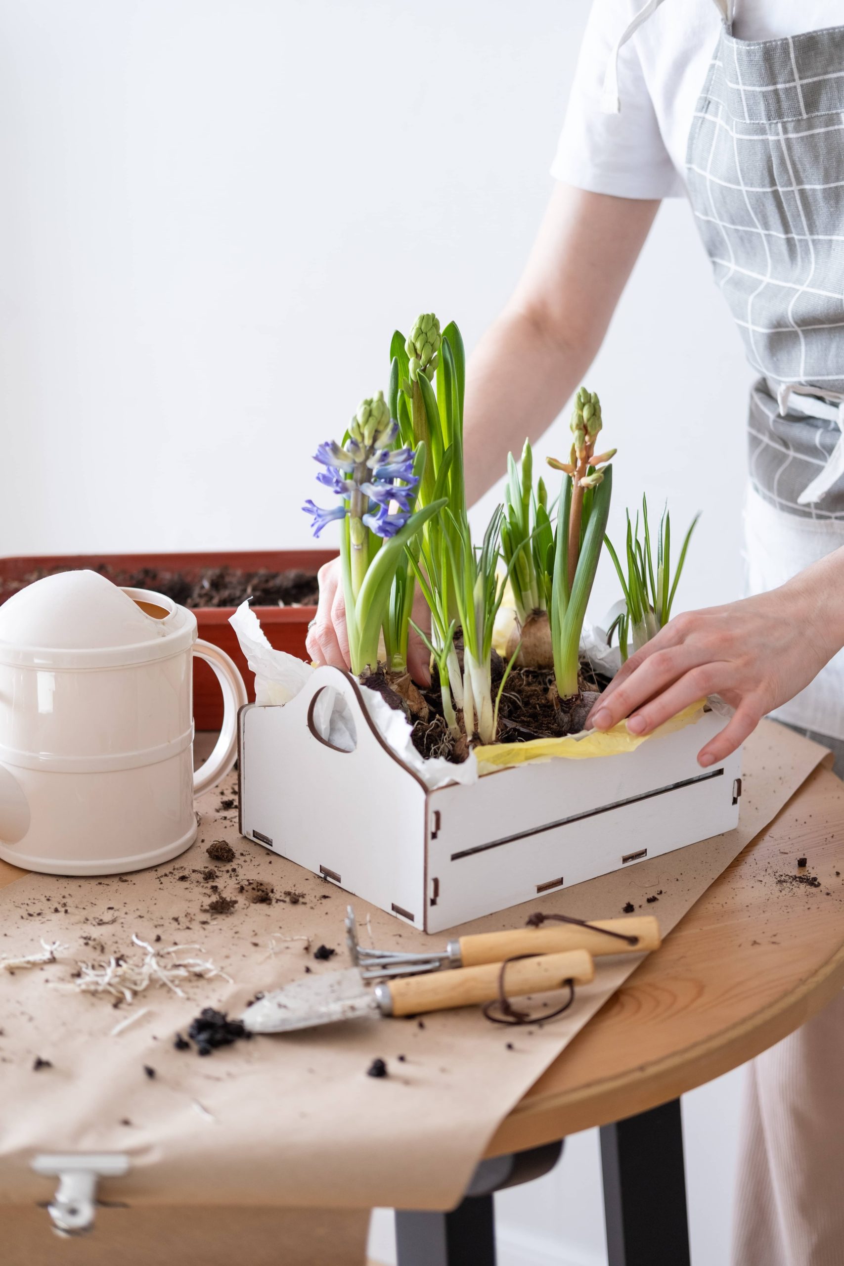Simple DIY Projects to Revitalize Your Living Room