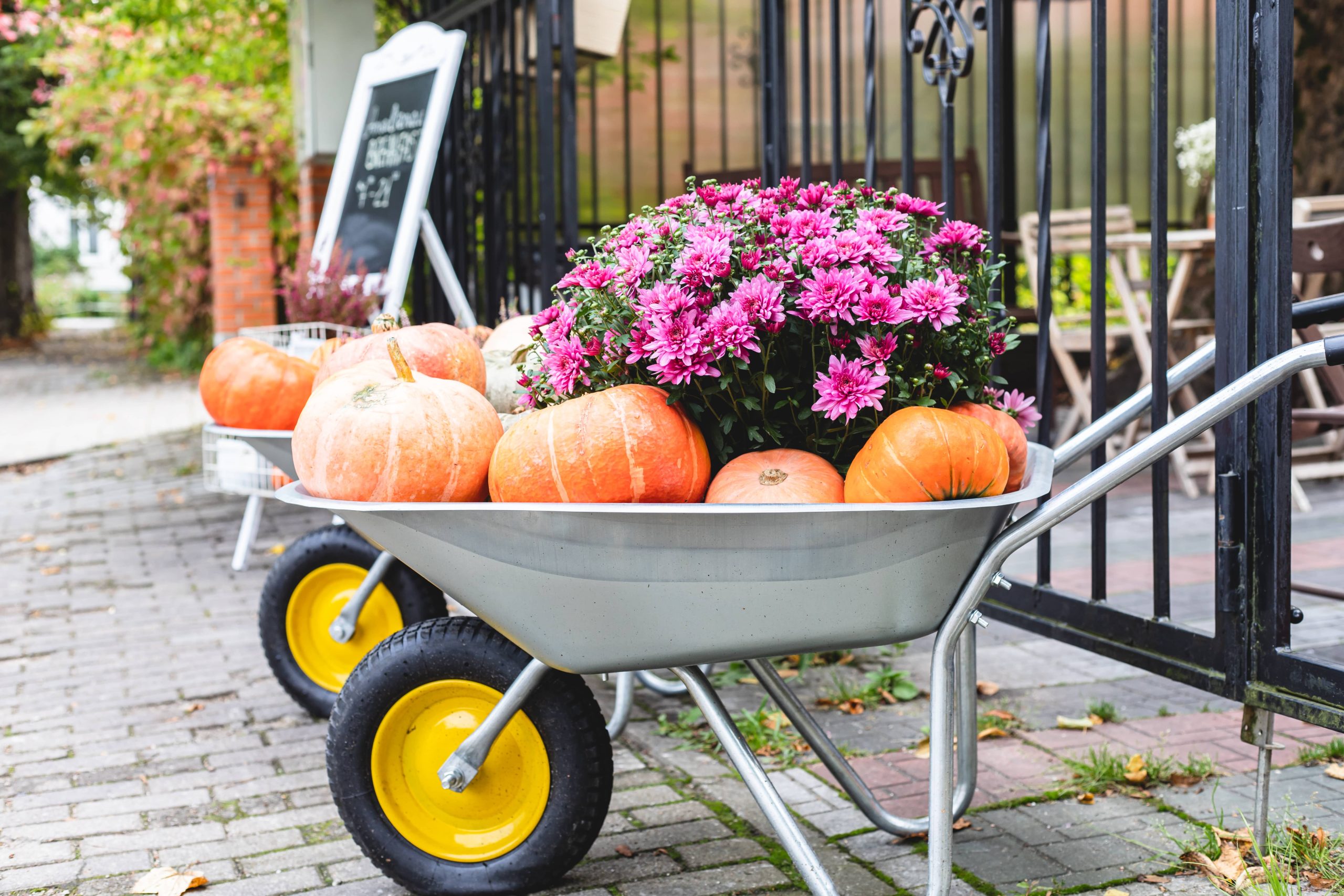Spring Cleaning Tips to Revitalize Your Home